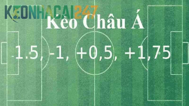 Hướng dẫn và ví dụ cách đọc Kèo Châu Á là gì dễ hiểu