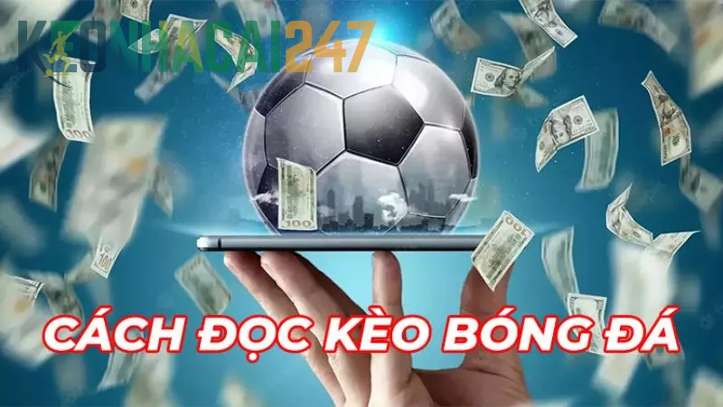 Hướng dẫn đọc Kèo Châu Âu là gì hiệu quả