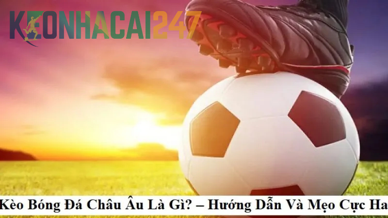 Cách tính số tiền thắng cược Kèo Châu Âu là gì