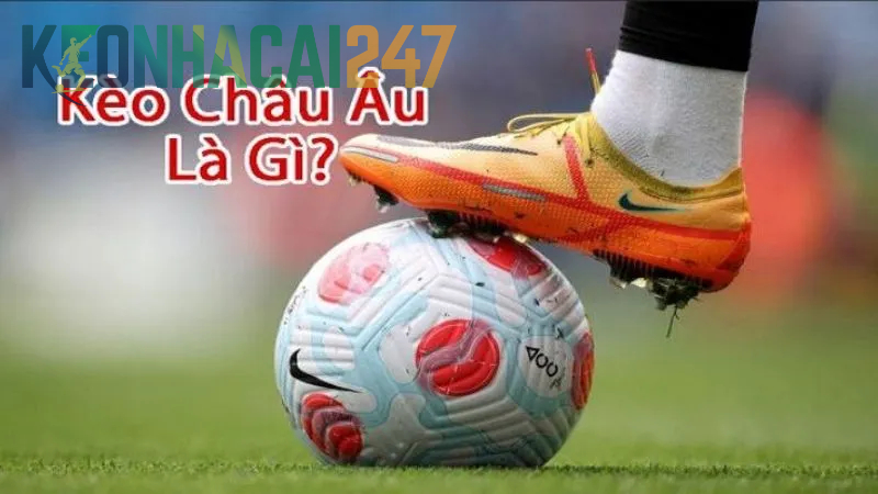 Kèo Châu Âu