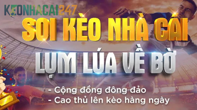 Soi kèo nhà cái trực tuyến uy tín lụm lúa làm giàu