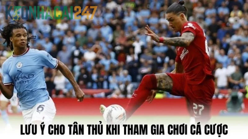 Lưu ý sống còn mà tân thủ phải nhớ khi đặt cược