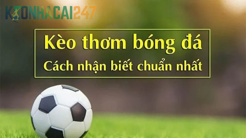 Nhận biết kèo thơm nhà cái giúp bạn thắng cược dễ dàng