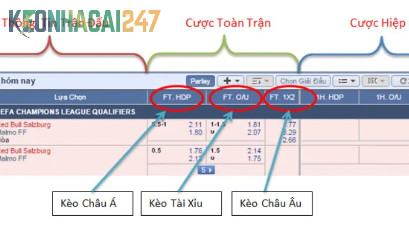 Cách đọc bảng tỷ lệ kèo cá cược chi tiết