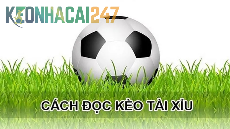 Cách xem Kèo Tài Xỉu bóng đá