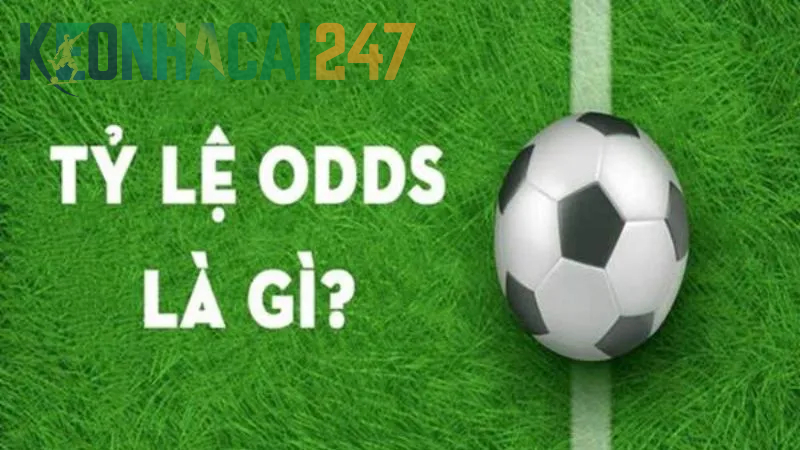Tìm hiểu khái niệm Odds là gì