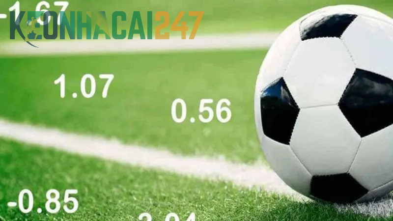 Hướng dẫn cách đọc hiểu chính xác Odds là gì