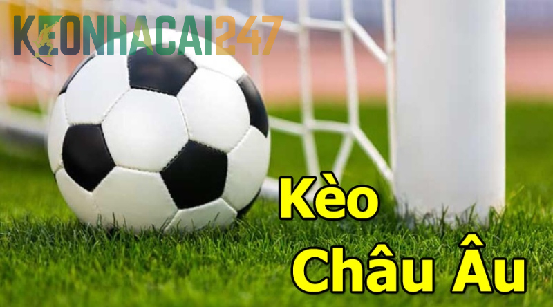 Cách đọc kèo bóng đá Châu Âu dễ dàng cho người mới