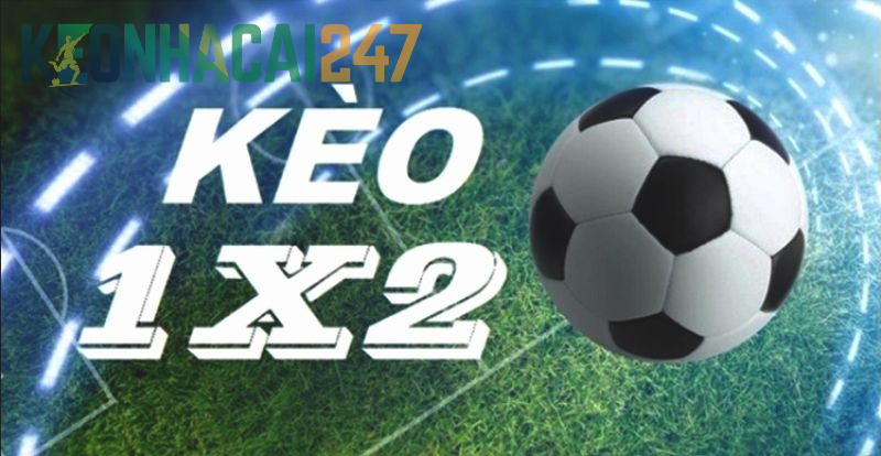 Kèo Bóng Đá 1/2 Là Gì