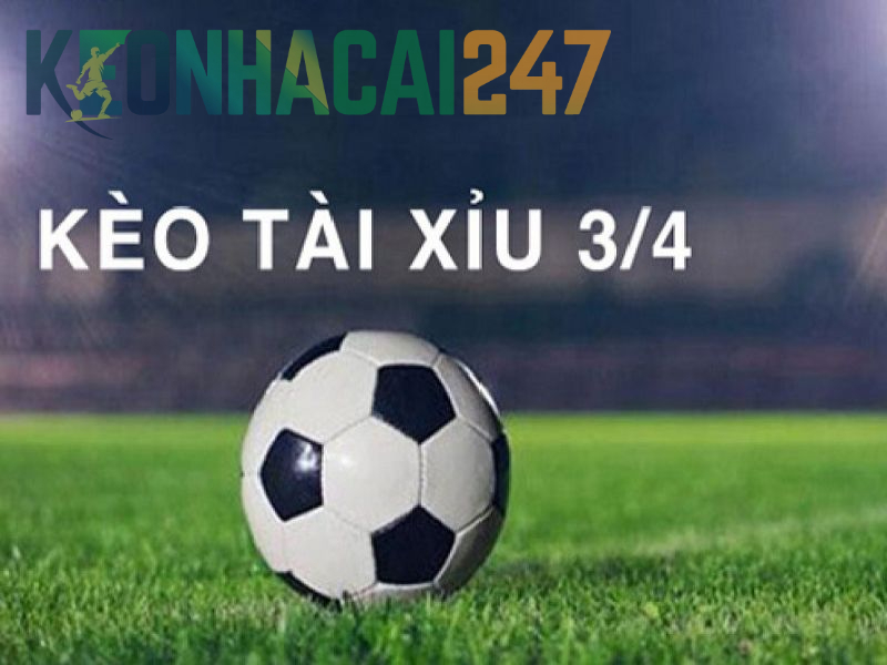 Tài Xỉu 3/4 Là Gì