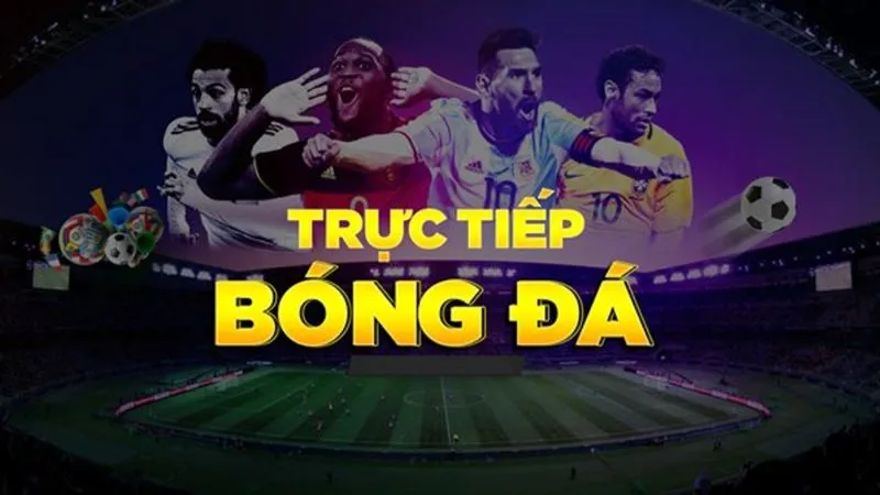 Trải nghiệm sự mới lạ và chuyên nghiệp tại KNC247