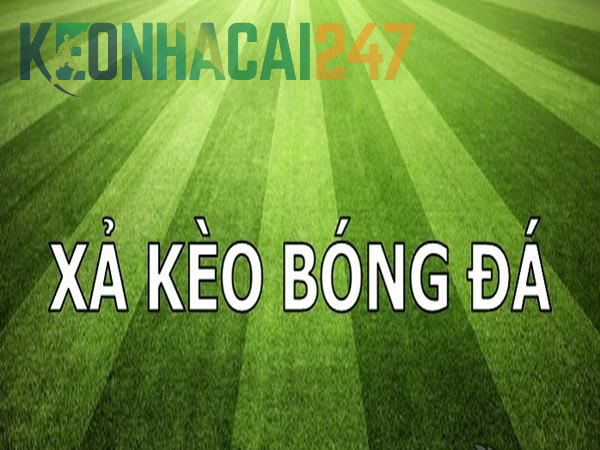 Kinh nghiệm xả kèo đúng thời điểm, đạt hiệu quả cao