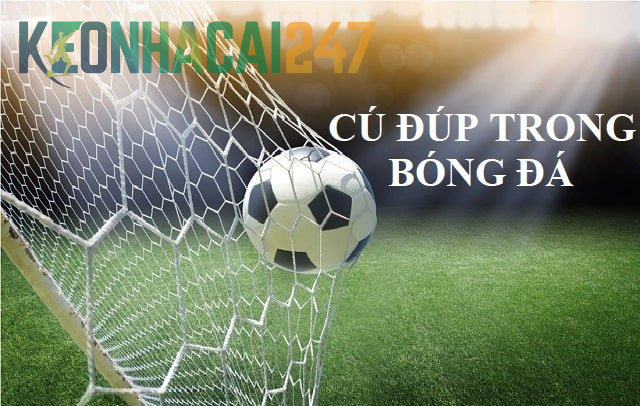 Cú Đúp Là Gì