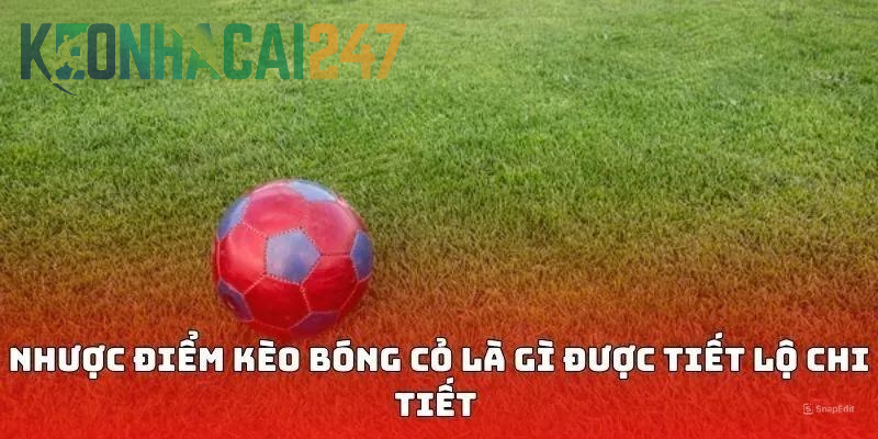 Nhược điểm kèo bóng cỏ là gì liệu bạn có thắc mắc?