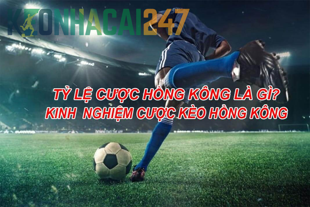 Tỷ Lệ Cược HongKong Là Gì