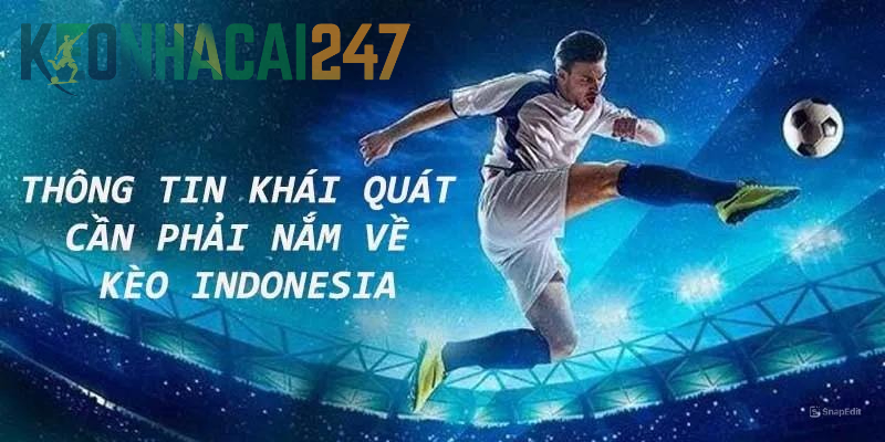 Giới thiệu về tỷ lệ cược Indo