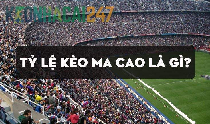 Cách đọc, cách chơi tỉ lệ kèo Ma Cao phổ biến nhất