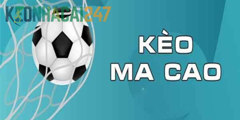 Công thức tính tiền với tỷ lệ cược Macau