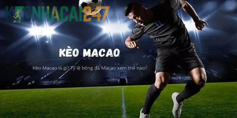 Một vài kinh nghiệm đắt giá khi tham gia tỷ lệ cược Macau