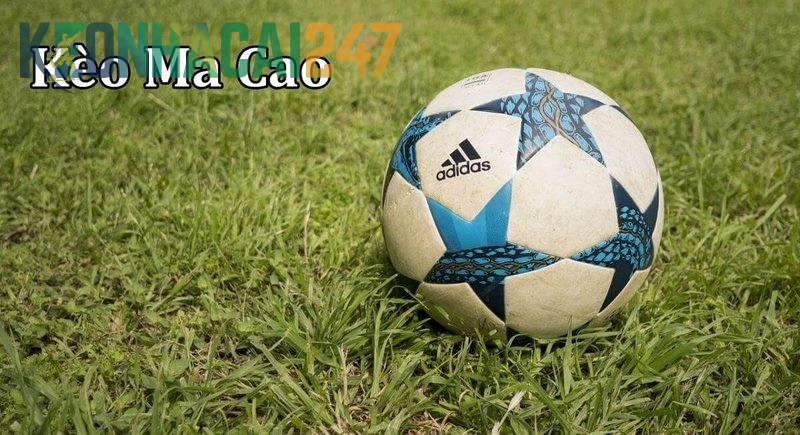 Tỷ Lệ Cược Macau Là Gì